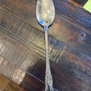 Elegant Silver Spoon